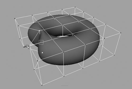 Cage deformed torus