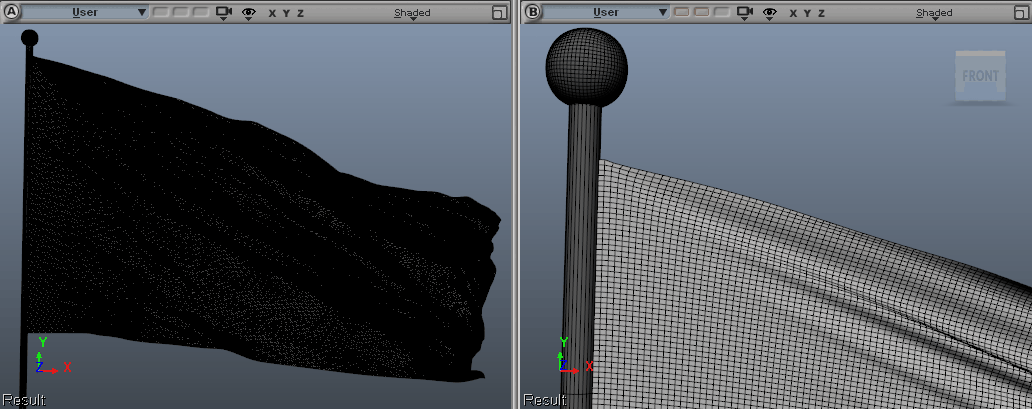 FleX dense flag wireframe