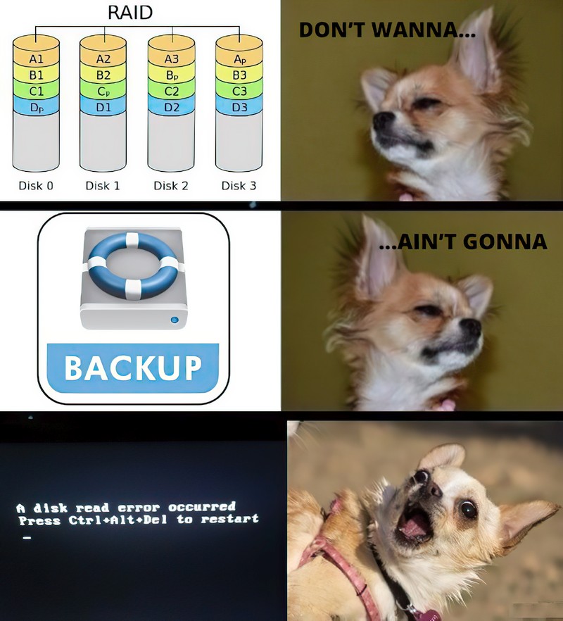 data-backup-dog-meme