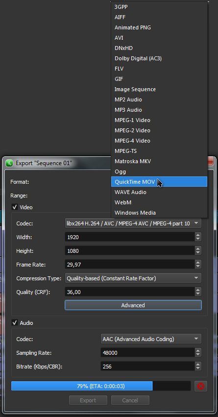 Olive video editor export formats