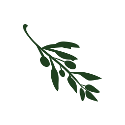 Olive NLE logo