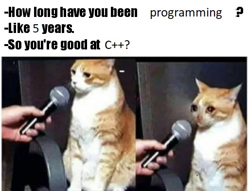 c-plus-plus-meme-cat