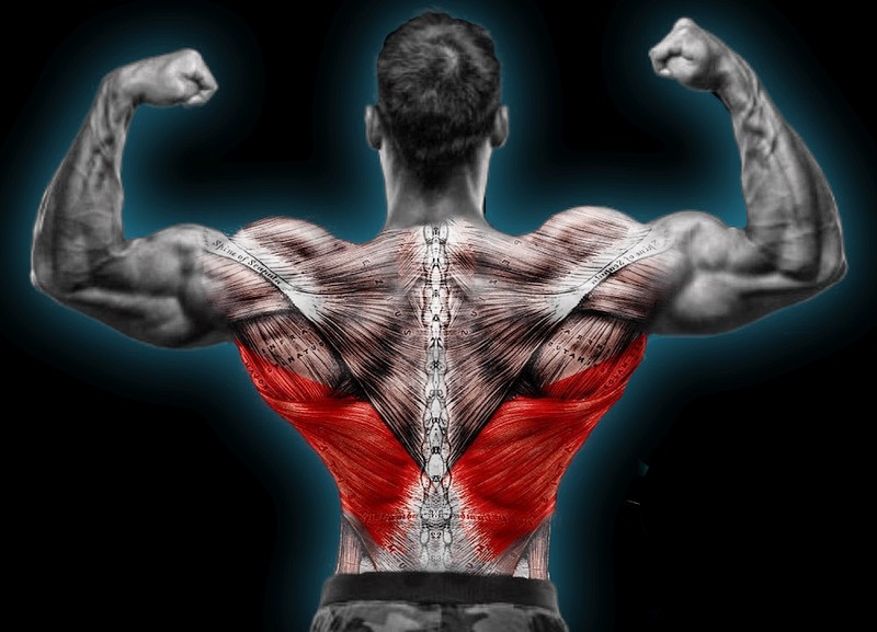 wider-lats