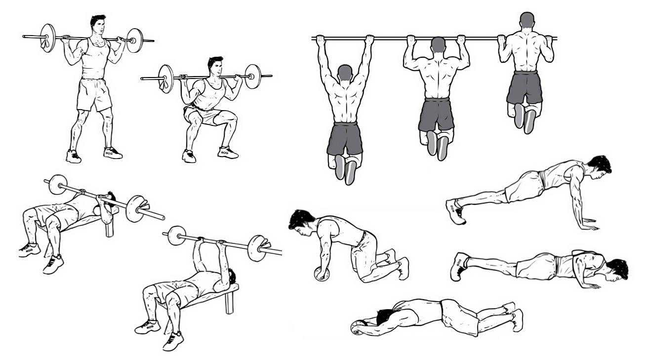 resistance-training-exercises