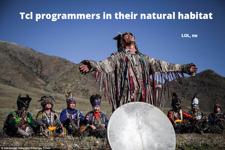 tcl-programmers-shamans
