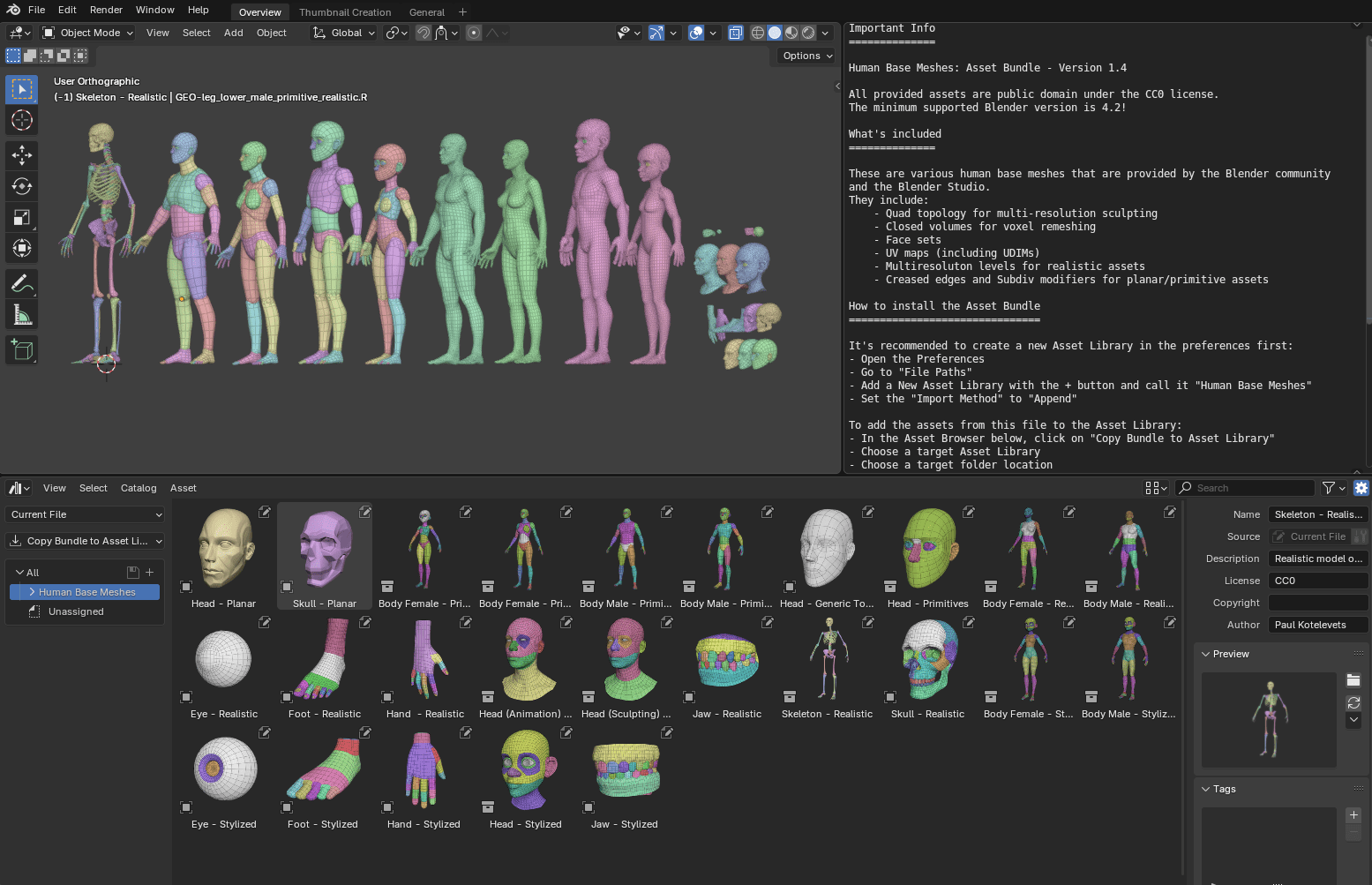 Human Base Meshes v1.4.0 bundle